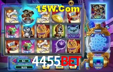 4455Bet Rio de Janeiro - Slot Strategy