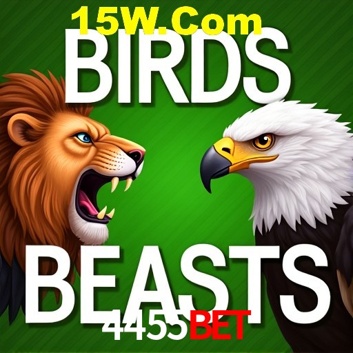 4455Bet Curitiba - Live Status